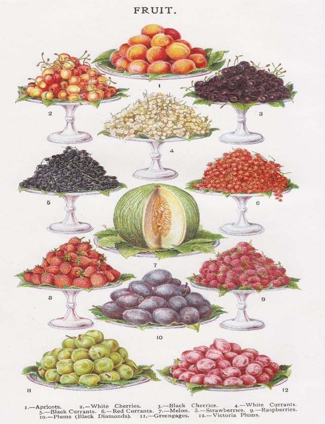 Item nr. 152089 Fruit. Mrs. Beeton's Book of Household Management. Isabella Beeton.