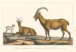 Item nr. 152201 Wild Goat. La Ménagerie du Muséum National d'Histoire Naturelle. Simon Charles...