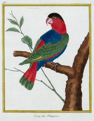 Item nr. 152278 Lory, des Philippines. Histoire Naturelle des Oiseaux. Georges Louis Buffon