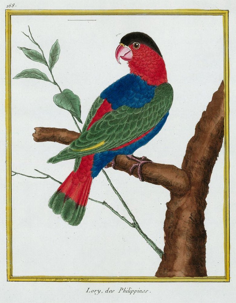Item nr. 152278 Lory, des Philippines. Histoire Naturelle des Oiseaux. Georges Louis Buffon.