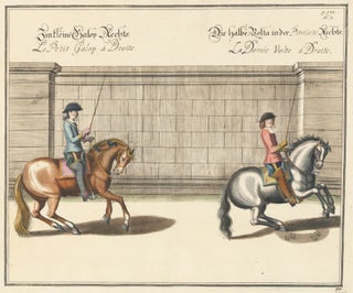 Item nr. 152280 Plate 44. Le Petit Galop a Droite. William of Newcastle, Newcastle