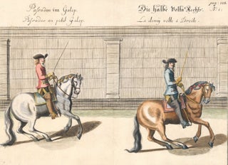 Item nr. 152284 Plate 40. Palisades au petit Galop. William of Newcastle, Newcastle