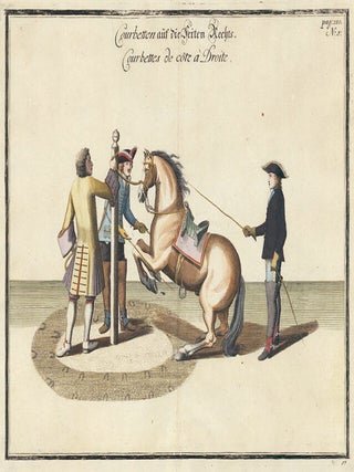 Plate 5. Courbettes de Cote a Droite.