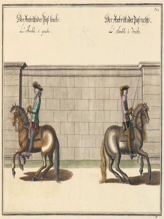 Item nr. 152328 Plate 13. L' Amble a Gauche. William of Newcastle, Newcastle
