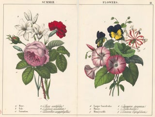 Item nr. 152675 Rose, Lily, Carnation, Larger Convolvulus, Pansy and Honeysuckle. Instructive...