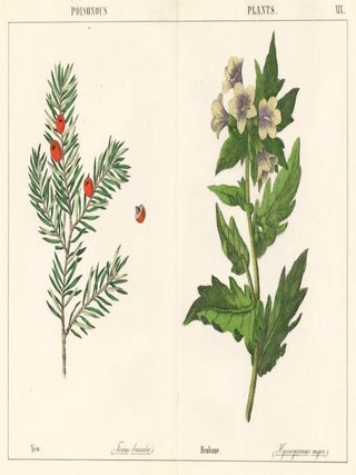 Item nr. 152793 Yew and Henbane. Instructive Picture Book. Robert Stark