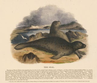 Item nr. 152927 The Seal. Plates Illustrative of Natural History. Josiah Wood Whymper