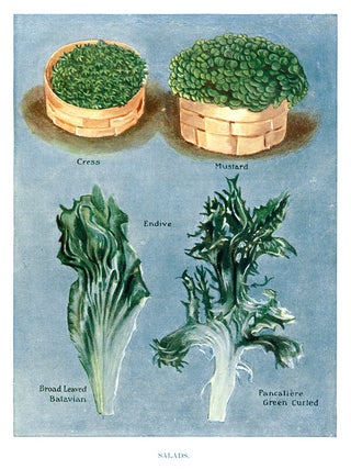 Item nr. 153022 Salads. The Vegetable Grower's Guide. John Wright