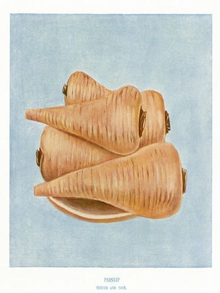 Item nr. 153025 Parsnip. The Vegetable Grower's Guide. John Wright