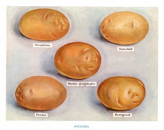 Item nr. 153037 Potatoes. The Vegetable Grower's Guide. John Wright