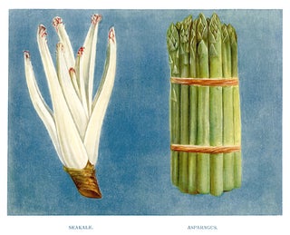 Item nr. 153047 Seakale and Asparagus. The Vegetable Grower's Guide. John Wright