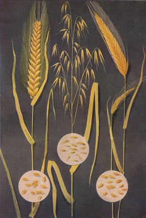 Wheat, Oats and Rye. The Grocer's Encyclopedia.