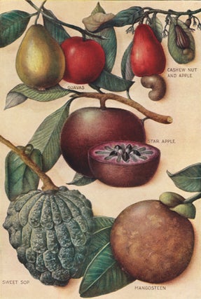 Item nr. 153409 Tropical Fruits. The Grocer's Encyclopedia. Artemas Ward