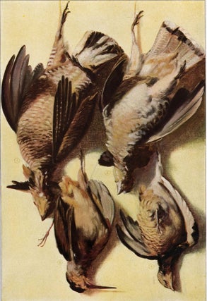 Item nr. 153447 Game Birds. The Grocer's Encyclopedia. Artemas Ward