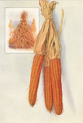 Item nr. 153453 Corn. The Grocer's Encyclopedia. Artemas Ward