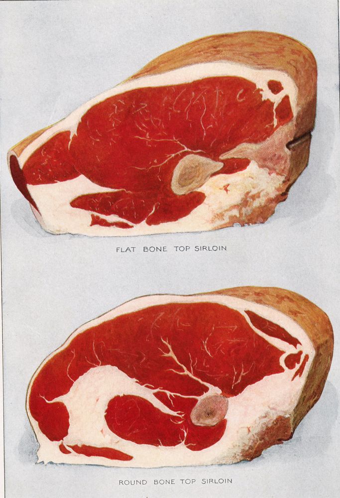 Beef - Flat and Round Bone Top Sirloin. Grocer's Encyclopedia | Artemas Ward