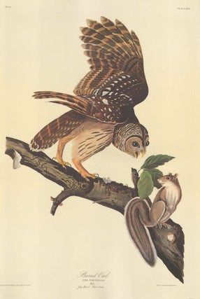 Item nr. 153851 Barred Owl. John James Audubon