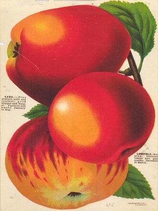 Apple Varieties.