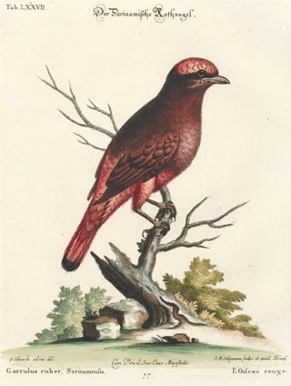 Item nr. 154706 L'Oiseau rouge. Sammlung verschneider auslandischer und seltener Vogel. Johann...