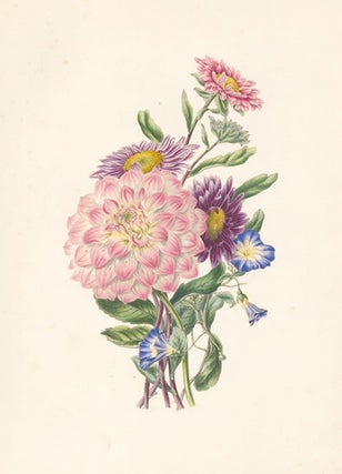 Item nr. 154837 Dahlia, China Aster and Covolvulus. Flora's Gems. James Andrews