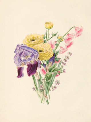 Item nr. 154853 Iris, Ranunculus, Hyacinth, Heath. Flora's Gems. James Andrews