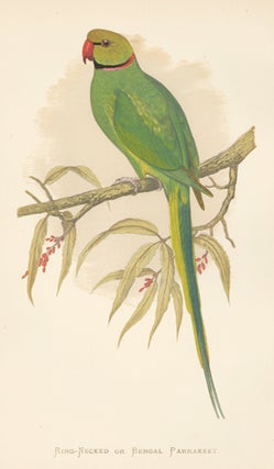Item nr. 155465 Ring-Necked or Bengal Parrakeet. Parrots in Captivity. William Thomas Greene