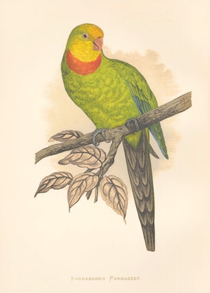 Item nr. 155468 Barraband's Parrakeet. Parrots in Captivity. William Thomas Greene