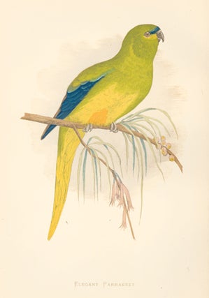 Item nr. 155476 Elegant Parrakeet. Parrots in Captivity. William Thomas Greene