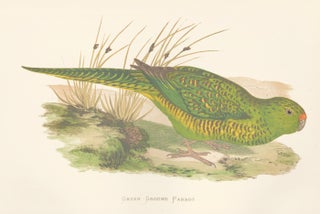 Item nr. 155483 Green Ground Parrot. Parrots in Captivity. William Thomas Greene