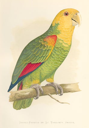 Item nr. 155559 Double-Fronted or Le Vaillant's Amazon. Parrots in Captivity. William Thomas Greene