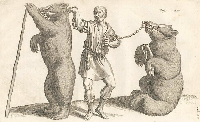 Item nr. 155691 Tab. LV. Ursus, Baer [bear]. Historia Naturalis, De Quadrupedibus. Johann Jonston.