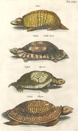 Item nr. 155752 Tatus; Testudo, Schildt Krotte [tortoise]; Testudo Aquatica and Testudo Marina...