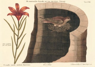 Item nr. 156087 L'Hirondelle d'Amerique. Sammlung verschneider auslandischer und seltener Vogel....