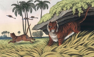 Tiger. The Instructive Picture Book.