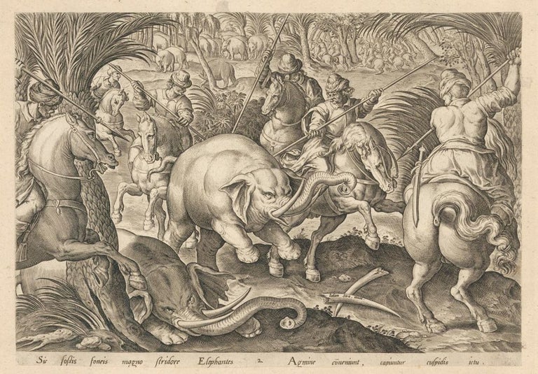 Item nr. 156126 Elephant hunt. Venationes ferarum, avium, piscium. Pugnae bestiariorum & mutuae bestiarum, depictae a Ioanne Stradano. Johannes Stradanus, Jan van der Straet.