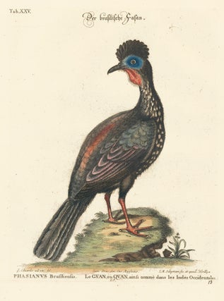 Item nr. 156150 Le Guan. Sammlung verschneider auslandischer und seltener Vogel. Johann Michael...