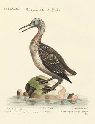 Item nr. 156159 Le Plongeon rouge-gorge. Sammlung verschneider auslandischer und seltener Vogel....