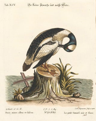 Item nr. 156168 Le petit Canard noir et blanc. Sammlung verschneider auslandischer und seltener...