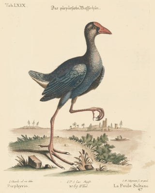 Item nr. 156171 La Poule Sultane. Sammlung verschneider auslandischer und seltener Vogel. Johann...