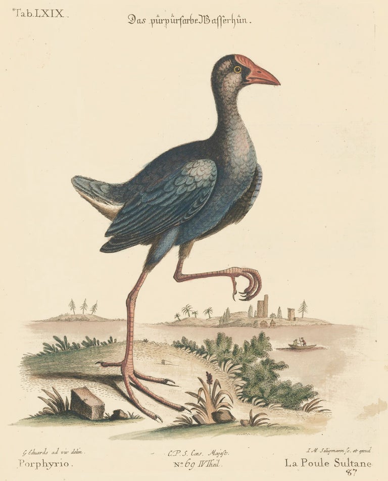 Item nr. 156171 La Poule Sultane. Sammlung verschneider auslandischer und seltener Vogel. Johann Michael Seligmann.