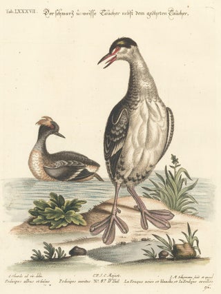 Item nr. 156178 La Fouque noire et blanche. Sammlung verschneider auslandischer und seltener...