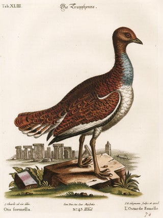 Item nr. 156179 L'Outarde Femelle. Sammlung verschneider auslandischer und seltener Vogel. Johann...