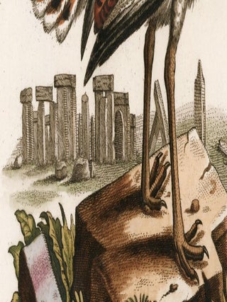 L'Outarde Femelle. Sammlung verschneider auslandischer und seltener Vogel.