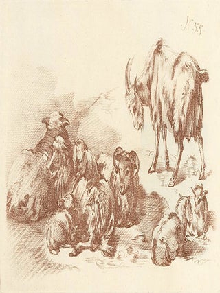 Sheep and goats.
