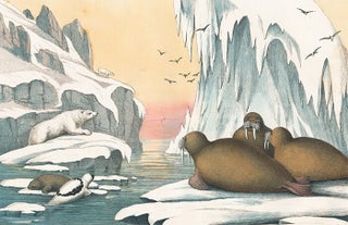Item nr. 156249 Walrus. The Instructive Picture Book. Adam White, M H. H J