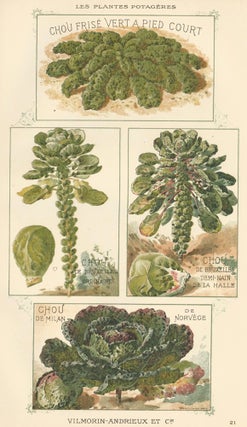 Item nr. 156567 Chou (cabbage). Les Plantes Potageres. Vilmorin-Andrieux et cie