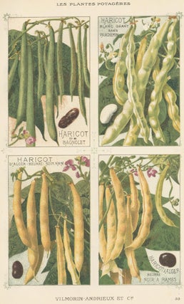 Item nr. 156634 Haricot (bean). Les Plantes Potageres. Vilmorin-Andrieux et cie