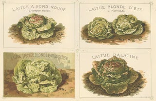 Item nr. 156637 Laitue (lettuce). Les Plantes Potageres. Vilmorin-Andrieux et cie