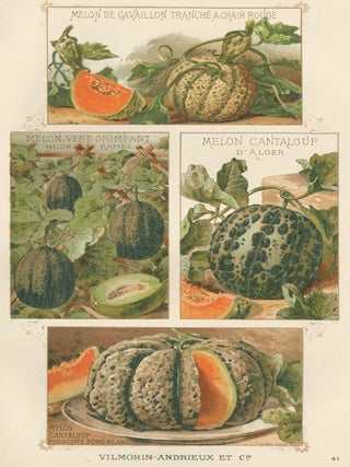 Item nr. 156645 Melon. Les Plantes Potageres. Vilmorin-Andrieux et cie