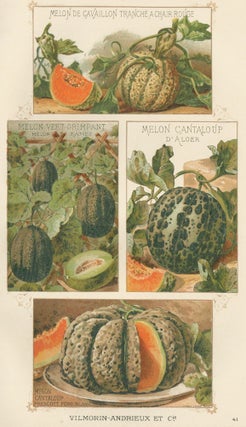 Item nr. 156645 Melon. Les Plantes Potageres. Vilmorin-Andrieux et cie